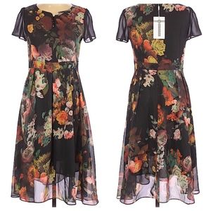 NWT Charlie Charlie Charlotte L sheer lined dress